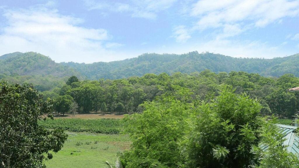 Hill Green Home Stay Thekkady Esterno foto