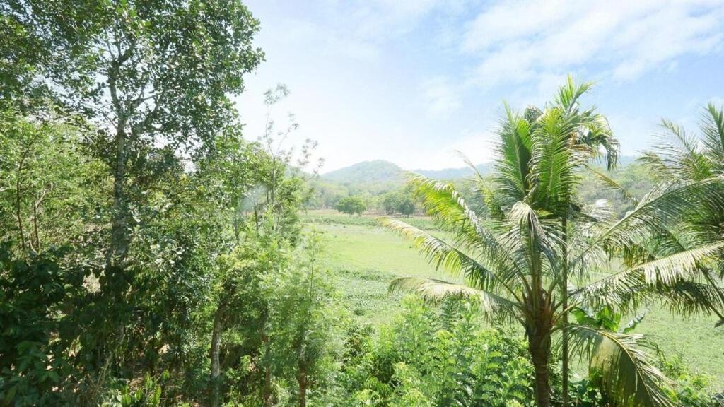 Hill Green Home Stay Thekkady Esterno foto
